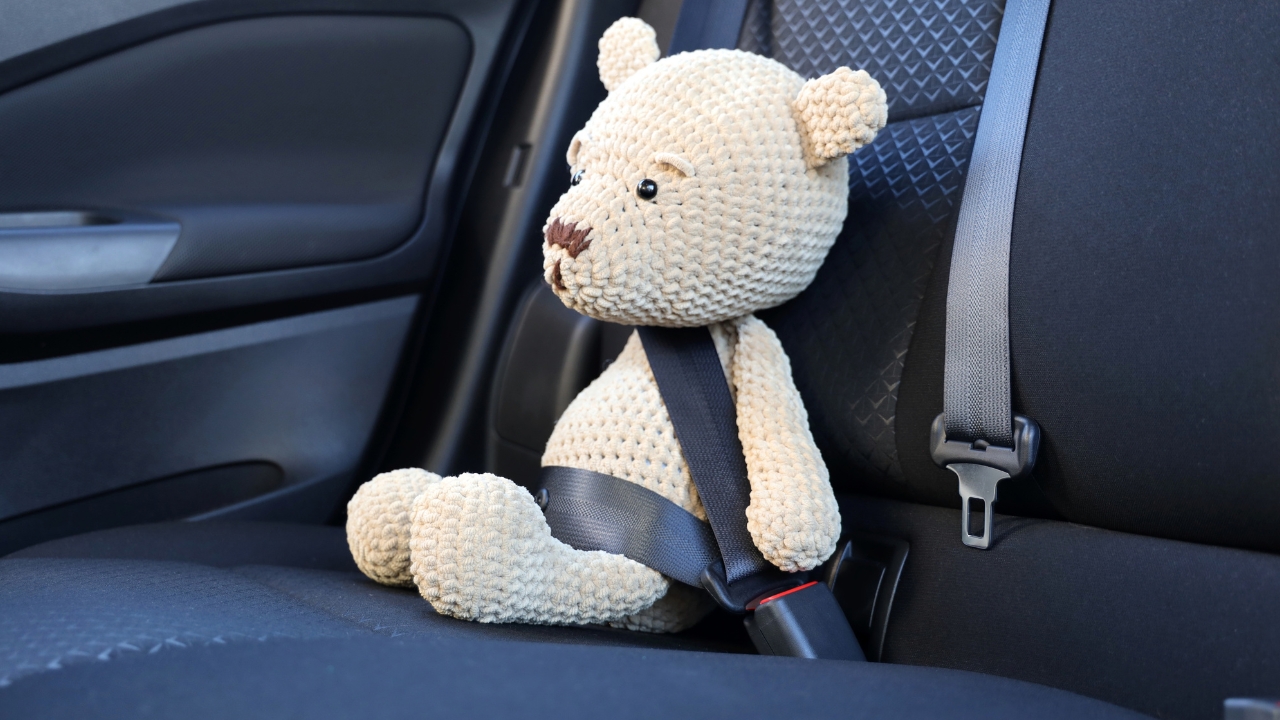 The Birth and Evolution of Seat Belts