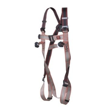 2 Point Fully Adjustable Harness