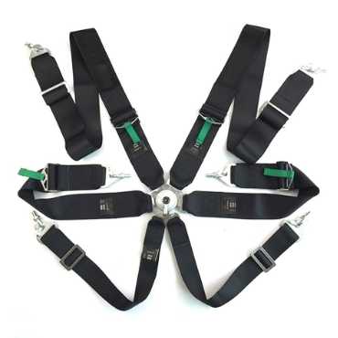 6 Point Classic Racing Seat Belts