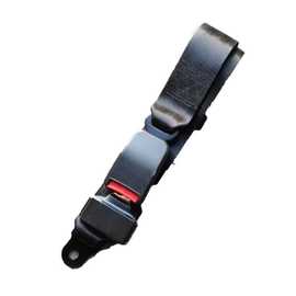 Ferris Wheel Seat Belt