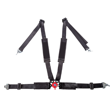 Car 4-Point Seat Belt